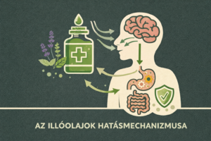 Hogyan hat az esszenciális illóolaj