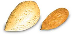 mandula