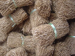 vetiver